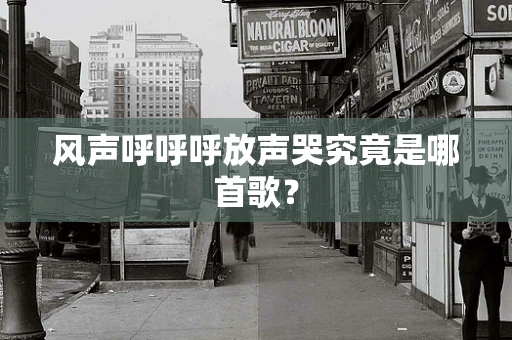 风声呼呼呼放声哭究竟是哪首歌？