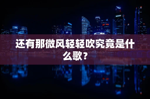 还有那微风轻轻吹究竟是什么歌？