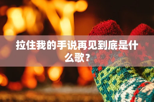 拉住我的手说再见到底是什么歌？