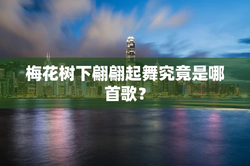 梅花树下翩翩起舞究竟是哪首歌？