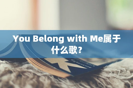 You Belong with Me属于什么歌？