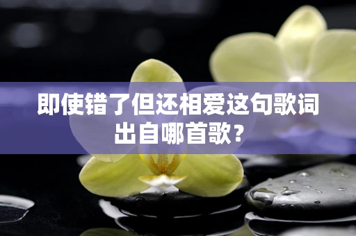 即使错了但还相爱这句歌词出自哪首歌？