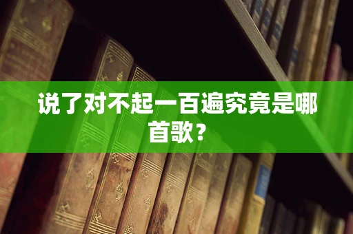 说了对不起一百遍究竟是哪首歌？